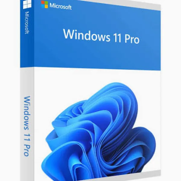 Windows 11 Pro OEM Key for 1 PC
